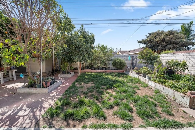 view of yard featuring a garden, a fenced backyard, and a patio