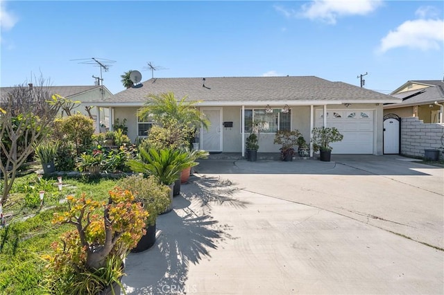 ranch-style house with an attached garage, concrete driveway, and stucco siding