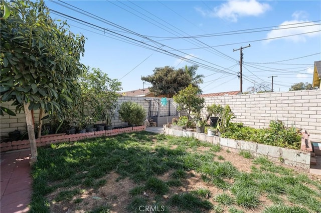 view of yard with a fenced backyard