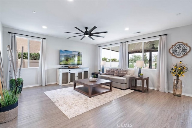 living area featuring plenty of natural light, baseboards, and wood finished floors