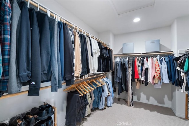 walk in closet with attic access and carpet flooring