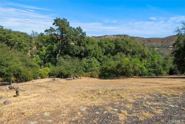 view of landscape featuring a view of trees