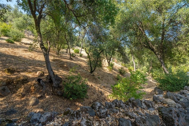 view of landscape