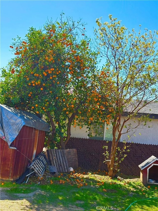 10321 Laurel Canyon Blvd, Pacoima, CA 91331 - view of yard with an outbuilding, a shed, and fence