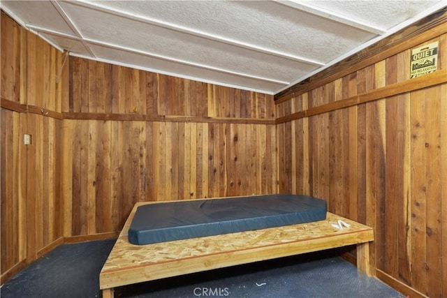 interior space featuring wooden walls and a sauna