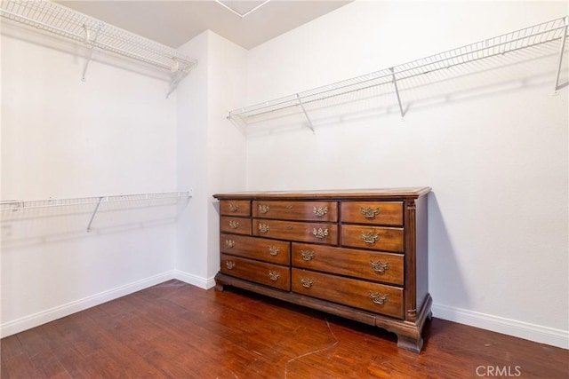 spacious closet featuring dark wood-style floors