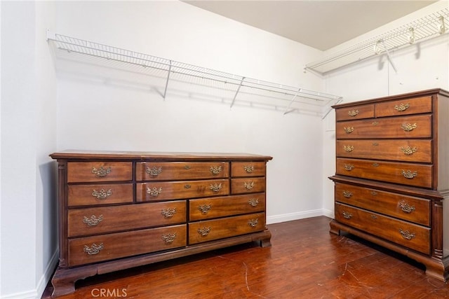 spacious closet with dark wood-style floors