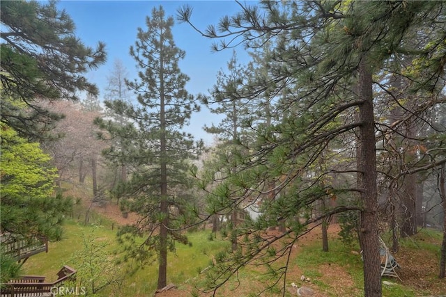 30919 Valley Oak Dr, Running Springs, CA 92382 - view of wooded area