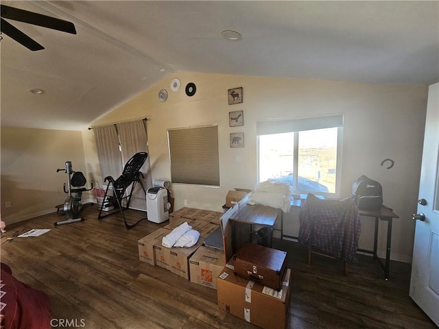 exercise area with vaulted ceiling, ceiling fan, and wood finished floors