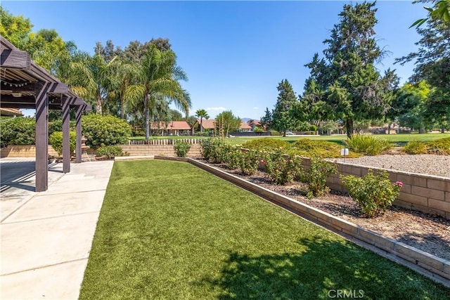 view of yard with a pergola and a patio