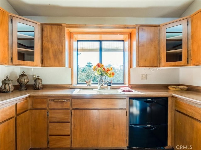 kitchen with dishwasher, light countertops, and a sink