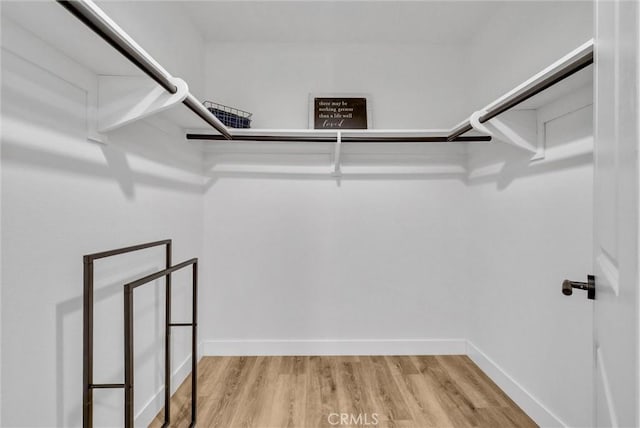 spacious closet featuring light wood-type flooring