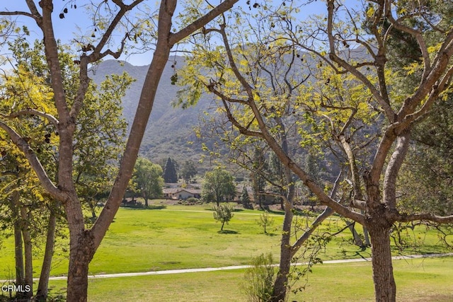 view of home's community featuring a yard and a mountain view