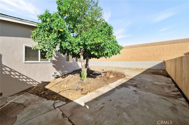 view of yard featuring a patio area and fence