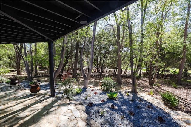 view of yard featuring a patio