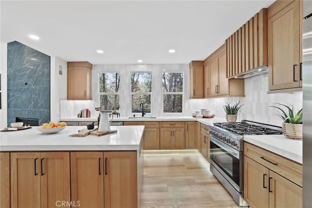 kitchen featuring stainless steel gas range, tasteful backsplash, light countertops, and a sink