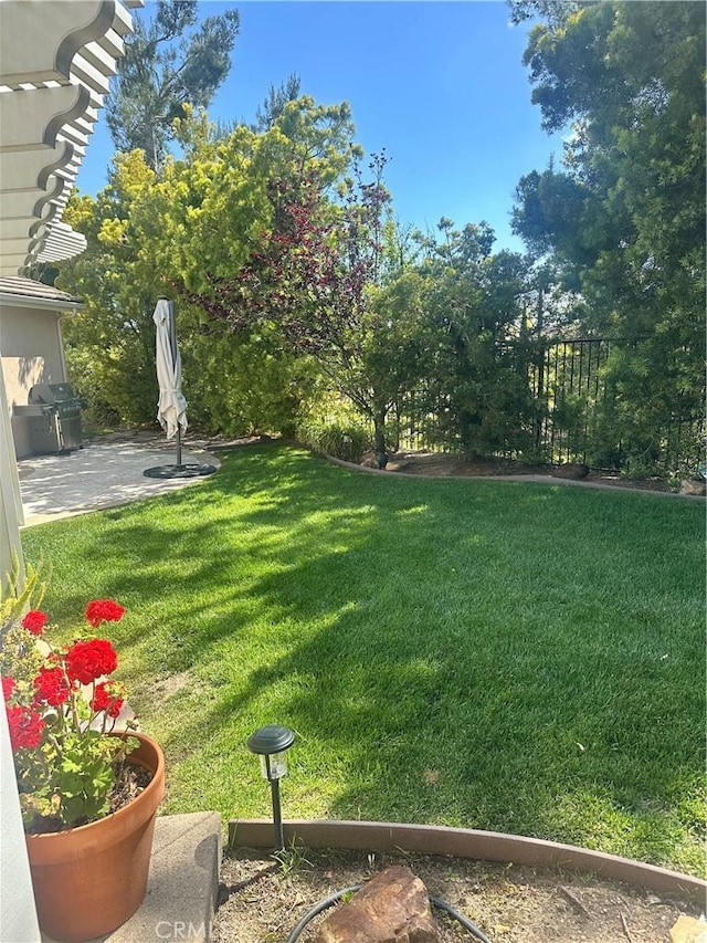 view of yard featuring a patio