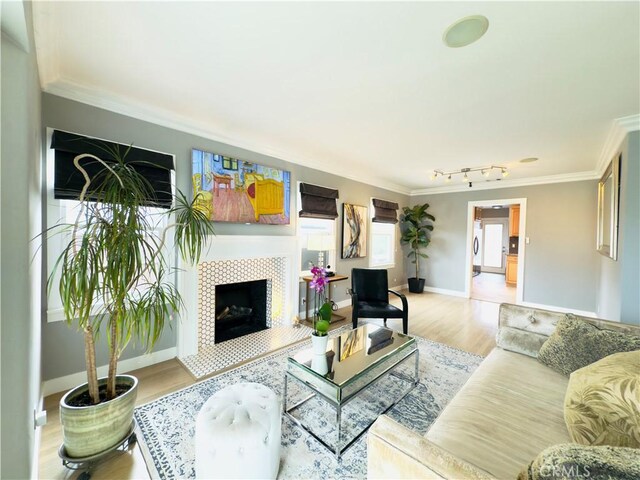 living room featuring crown molding, a fireplace, wood finished floors, baseboards, and track lighting