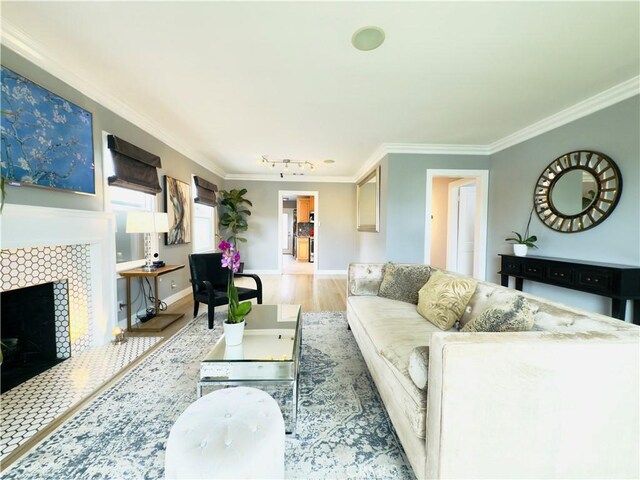 living room featuring a fireplace, crown molding, track lighting, wood finished floors, and baseboards