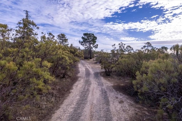 view of road