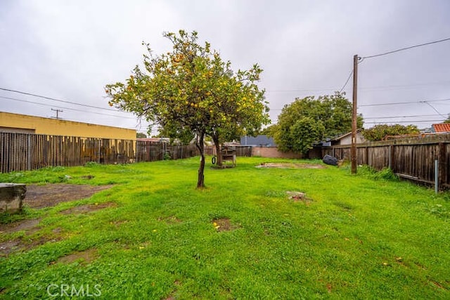 view of yard with a fenced backyard