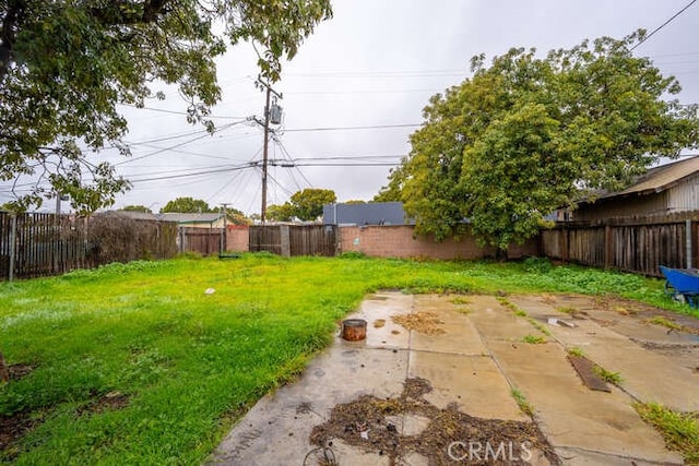 view of yard with a patio area and a fenced backyard