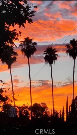 view of nature at dusk