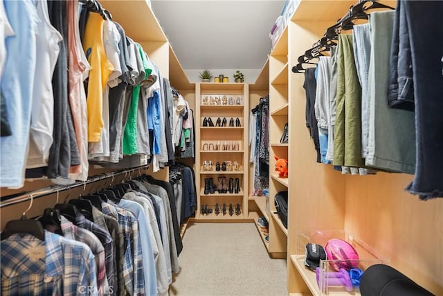 walk in closet with carpet flooring