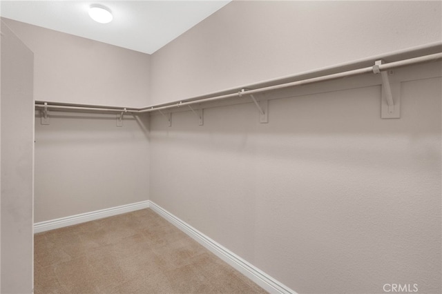 walk in closet featuring light colored carpet