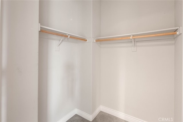 walk in closet with carpet flooring