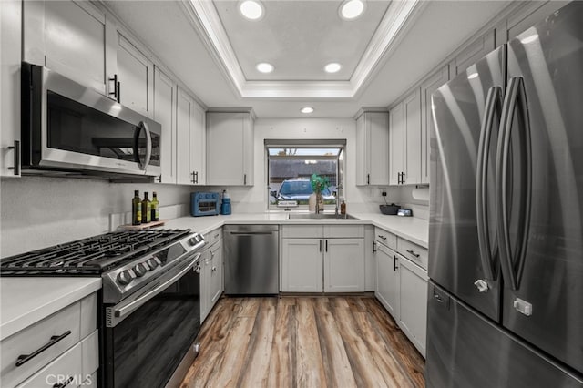 kitchen featuring a raised ceiling, appliances with stainless steel finishes, light countertops, light wood-style floors, and a sink