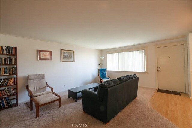 living room with light colored carpet