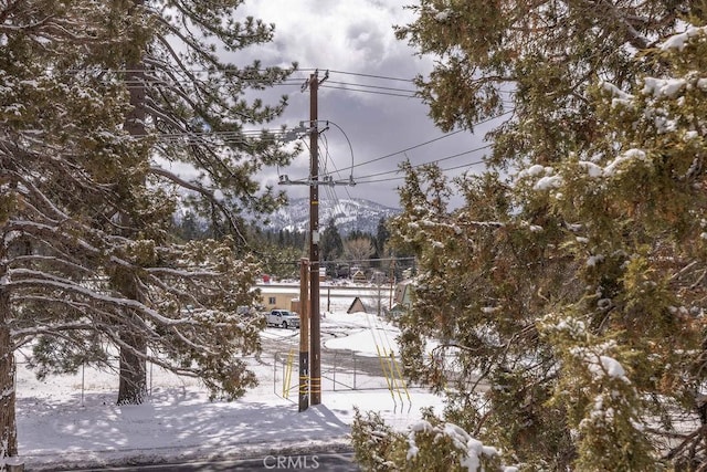 view of snow covered land