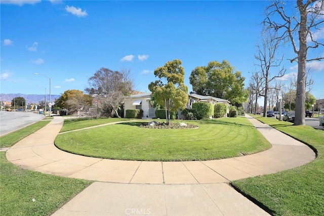 view of property's community with a yard