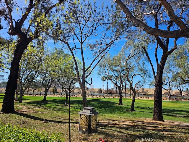 view of property's community featuring a yard