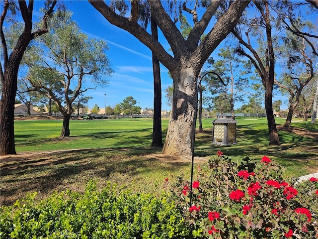 view of property's community featuring a lawn