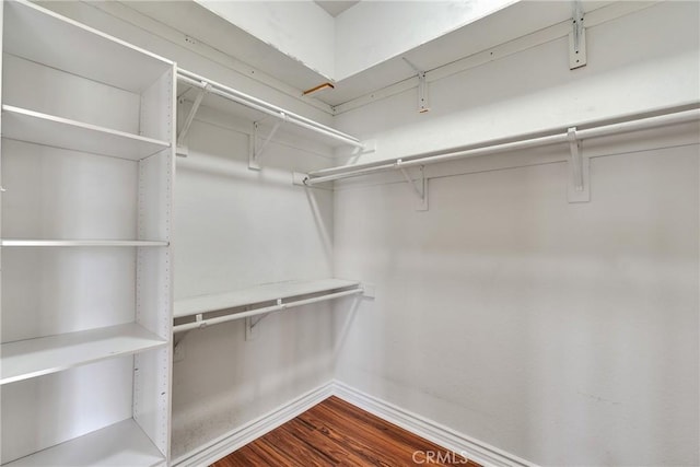 spacious closet featuring dark wood-style floors