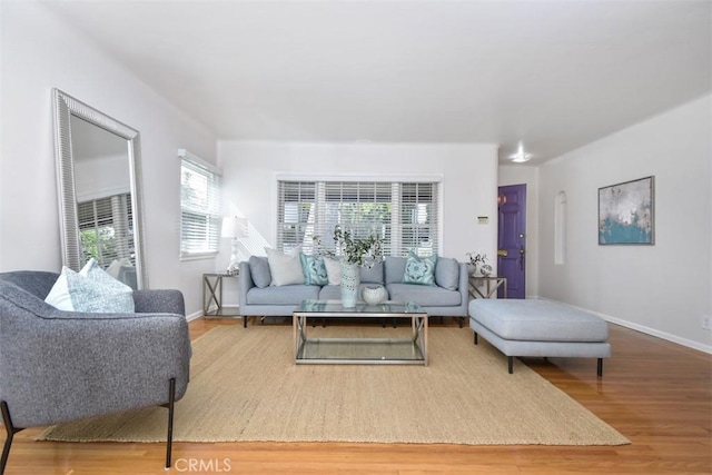 living room with baseboards and wood finished floors