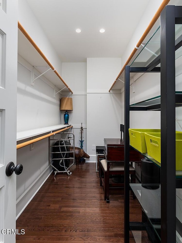 walk in closet featuring wood finished floors