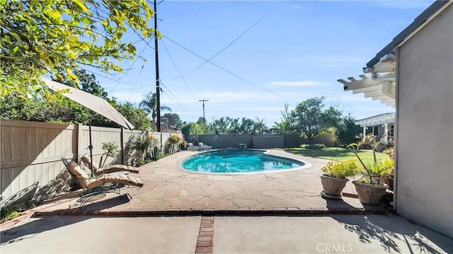 view of pool featuring a fenced in pool, a fenced backyard, and a patio