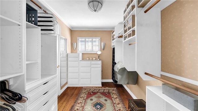 walk in closet featuring dark wood finished floors