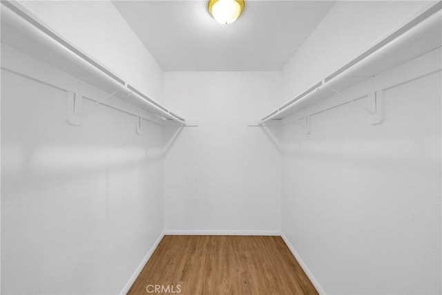 walk in closet featuring wood finished floors