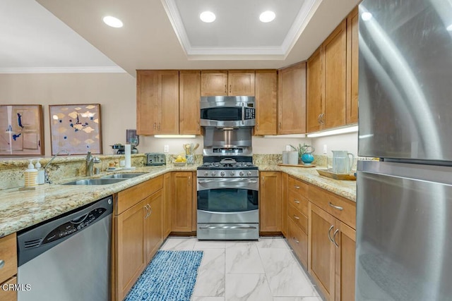 kitchen with a tray ceiling, appliances with stainless steel finishes, ornamental molding, a sink, and light stone countertops