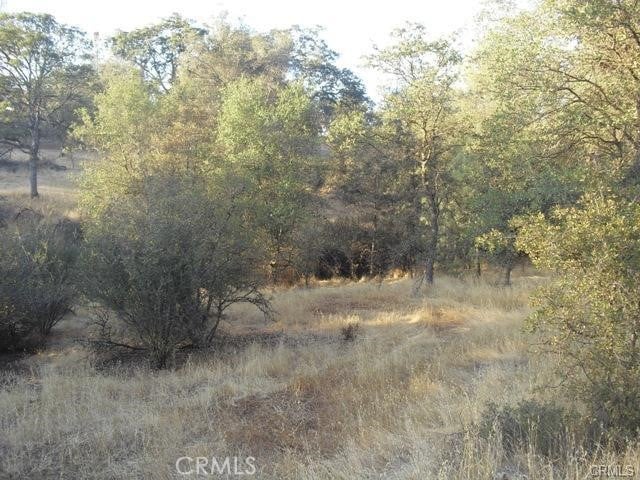 10357 Tulipan Way, Coulterville CA, 95311 land for sale