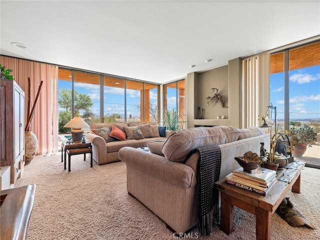 living area featuring a wall of windows, carpet, and a healthy amount of sunlight