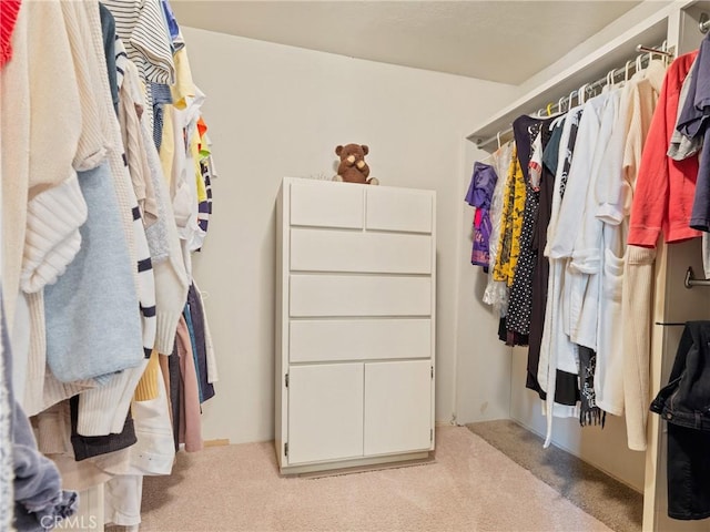 walk in closet featuring light colored carpet