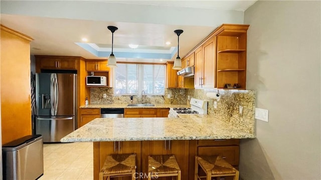 kitchen with a raised ceiling, decorative backsplash, appliances with stainless steel finishes, a sink, and a peninsula