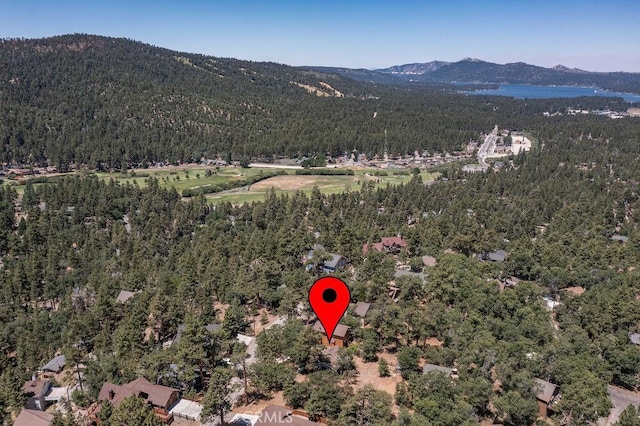 drone / aerial view with a mountain view and a view of trees