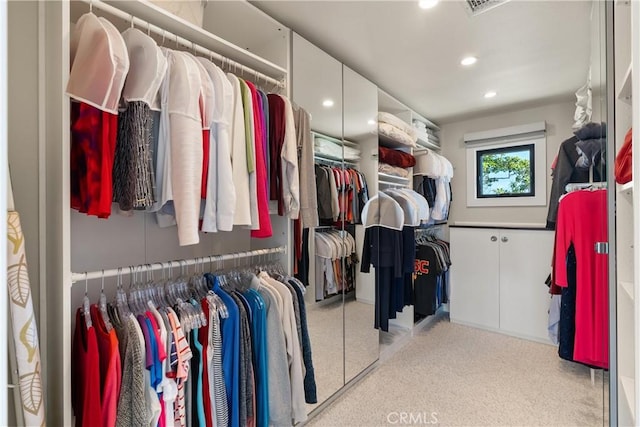 view of walk in closet