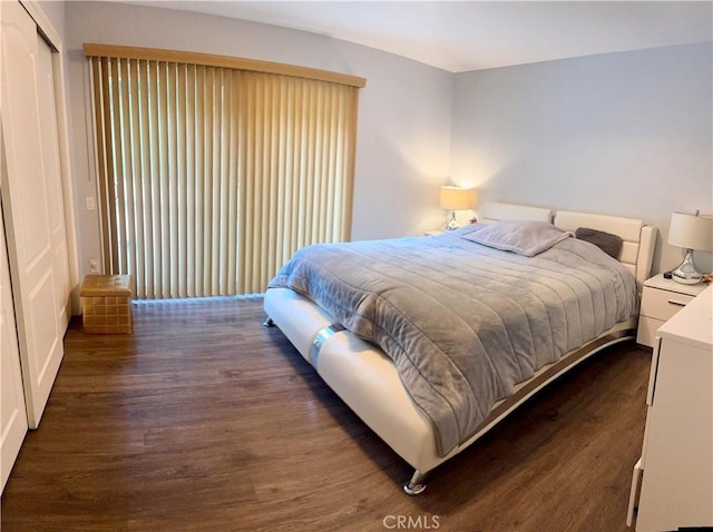 bedroom with dark wood-style flooring and a closet